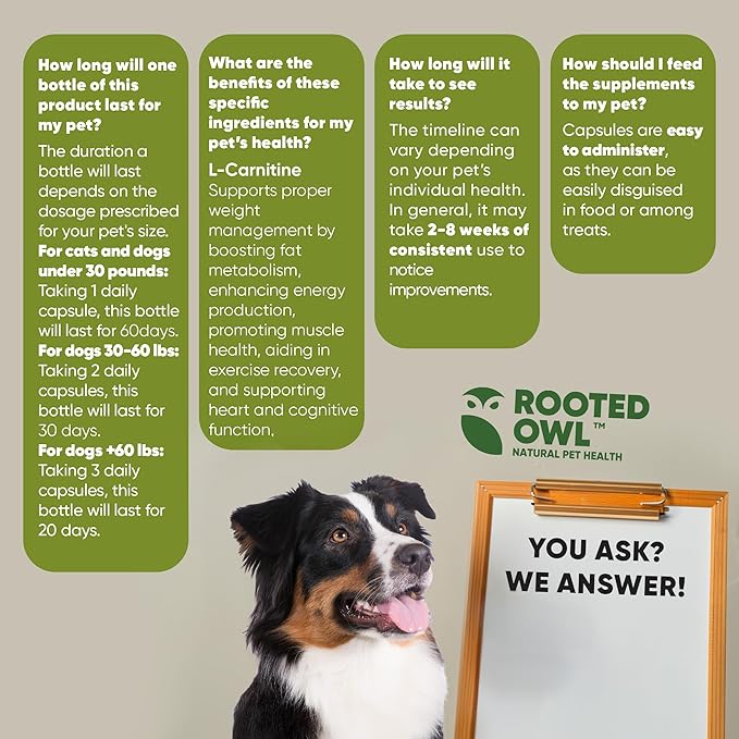 Rooted Owl Metabolism Support - L-Carnitine Supplement for Dogs and Cats to Support Healthy Weight - Dog and Cat Supplement - 60/ct