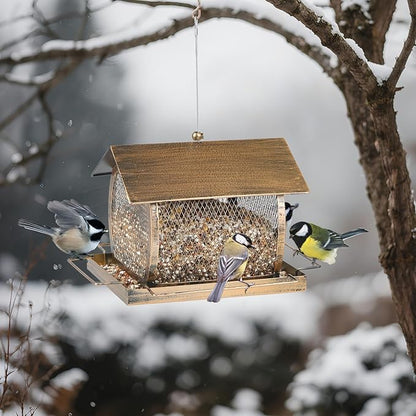 Bird Feeder for Outdoors, Wild Finch Birds Feeders Sparrow Feeder, Metal Birdfeeder Outside Hanging with Lid Fixing Buckle, 2Lbs Capacity