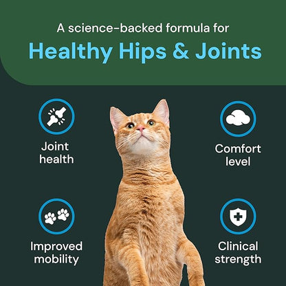 VetriScience Veterinary Strength Healthy Hip & Joint Chews - Cat Joint & Soft Tissue Health Supplement for Mobility - Clinical Strength Formula - Chicken Flavor - 60 Count