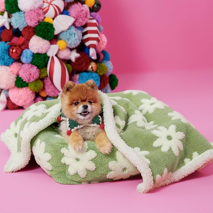 Lesure Waterproof Puppy Blanket for Small Dogs - Washable Double Sided Dog Blankets with Warm Jacquard Shag and Soft Sherpa Fleece, Pet Cat Blanket for Couch Protection, 3D Textured Cloud, Green