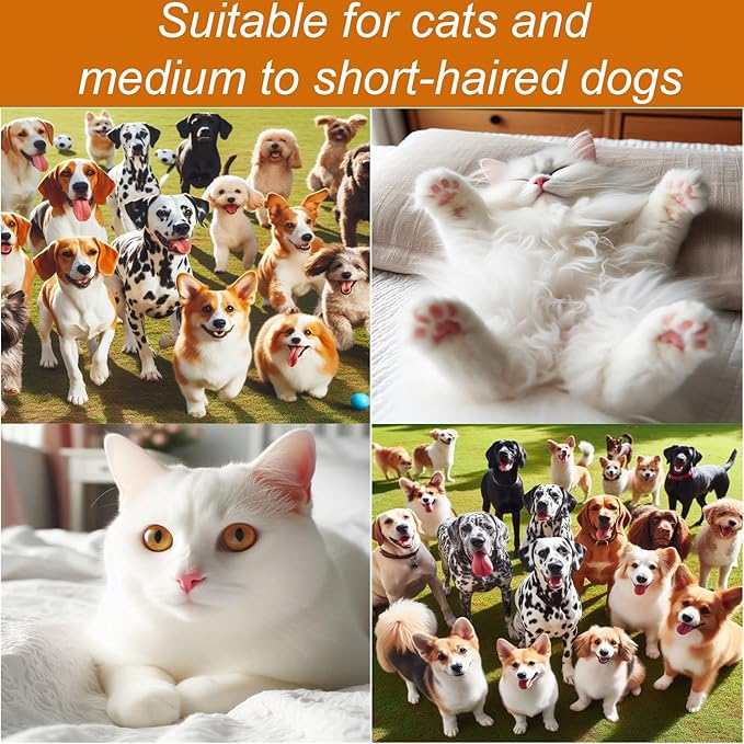 300W Quiet Pet Blow Dryer - Pet Hair Dryer for Small & Medium Dogs and Cats with Removal Comb & Silicone Bath Massage Brush for Home Grooming -Mist/Spray/Steam Brush for Cat & Dog