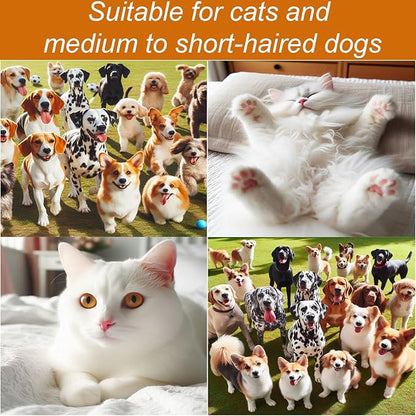 300W Quiet Pet Blow Dryer - Pet Hair Dryer for Small & Medium Dogs and Cats with Removal Comb & Silicone Bath Massage Brush for Home Grooming -Mist/Spray/Steam Brush for Cat & Dog