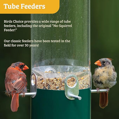 Birds Choice Classic Hanging Bird Feeder with Weatherguard Baffle | Squirrel Proof Bird Feeder for Cardinals, Chickadees, Woodpeckers | Sturdy Steel Construction | Backyard Birdseed Dispenser | Green