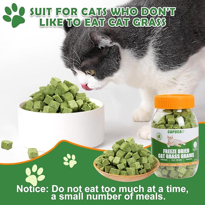 Cat Grass Treats Cubes - 80g Natural Freeze Dried Cat Grass Teething Stick Cat Treats Snacks Edible Cat Chew Toys for Hairball Removal Teeth Cleaning