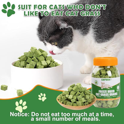 Cat Grass Treats Cubes - 80g Natural Freeze Dried Cat Grass Teething Stick Cat Treats Snacks Edible Cat Chew Toys for Hairball Removal Teeth Cleaning