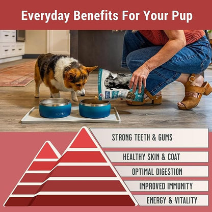 MONTANA DOG FOOD CO. Freeze-Dried Raw Beef Recipe Dog Food – Grain-Free, High-Protein Meal or Topper, Made in USA with USA Ingredients -16 oz Bag