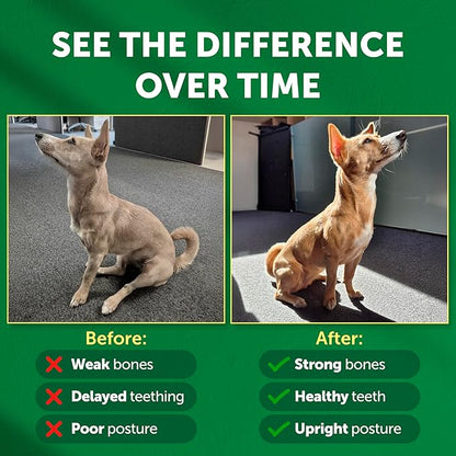 Nature's Protection Hip Joint Supplement for Dogs - Puppy Healthy Growth Mineral Supplements with Calcium for Development Support, Bone & Teeth Strength, Gut Health for Dogs & Cats of All Breeds, 9 Oz