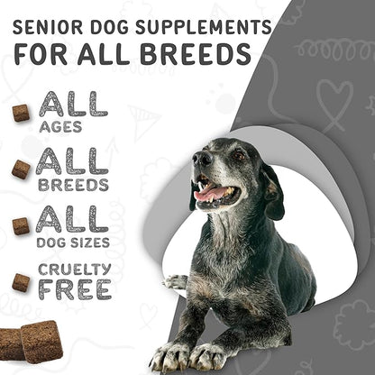 waggedy Daily Essentials Senior Soft Chews with Glucosamine — Pet Supplies for Digestion and Joint Health — Dog Multivitamin Treats for Overall Defense — Dog Vitamins and Supplements (60 Chews)