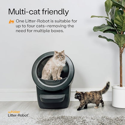 Litter-Robot 4 Supply & Accessory Bundle by Whisker, Black- Automatic Self-Cleaning Cat Litter Box, Includes Litter-Robot 4, Ramp, Mat, 3 OdorTrap Packs, 10 Liners, 30 Wipes, & 2 Carbon Filters
