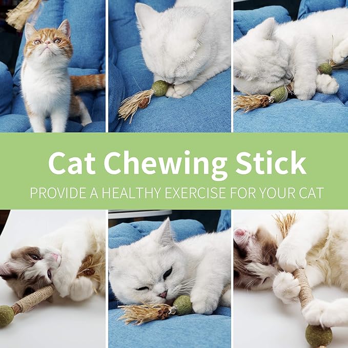 PAZ'S GIFT Catnip Toy Cat Toys Catnip Toy cat chew Toy cat Kicking silvervine Stick Teeth Cleaning Cute Kitten Teething Indoor Interactivecat Dental Care Matatabi (Catnip Balls)