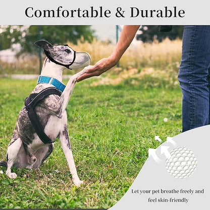 Dog Muzzle, Breathable Soft Muzzle for Extra Small Dogs to Anti & Prevent Barking Biting Chewing, Reflective & Adjustable Basket Muzzle with Air Mesh for Dachshund Beige XS