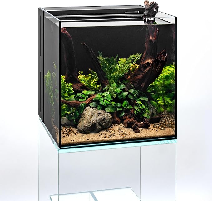 Ultum Nature Systems Driftwood - Malaysian Drift Wood for Fish Tank, Planted Tank, Terriarium, Paludarium - Versatile Natural Driftwood Decor, Events Wood Centerpiece - Malaysian, M 12-16", 3 Pack