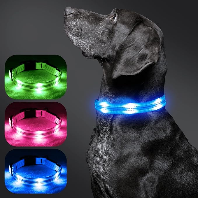 BSEEN Light Up Dog Collars - Glowing LED Dog Collar, Reflective Puppy Collar, Adjustable Lighted Dog Collar, Rechargeable Pet Collar for Night Walking (Blue, Medium)