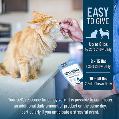 Nutramax Solliquin Calming Behavioral Health Supplement for Small to Medium Dogs and Cats - With L-Theanine, Magnolia / Phellodendron, and Whey Protein Concentrate, 75 Soft Chews