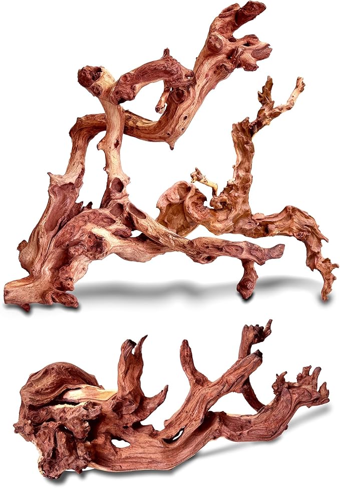 Natural Coral Driftwood for Aquarium Fish Tank Decor,Assorted Trunk Driftwood Branch for Reptile Decor (Coral Driftwood Medium (12 to15 Inch)-Pack of 2)
