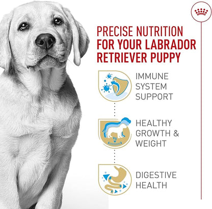 Royal Canin Breed Health Nutrition Labrador Retriever Puppy Dry Dog Food, 30 lb.