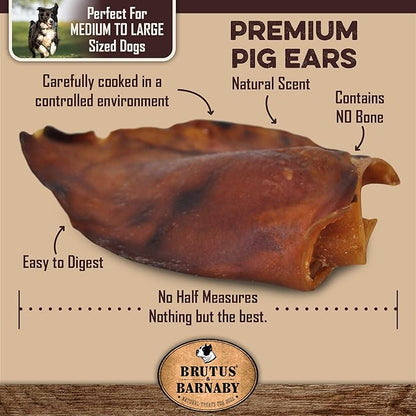 100% Natural Whole Pig Ear Dog Treat - 100 pack - Our Healthy Dog Pig Ears Are Easy To Digest, Chemical & Hormone Free Thick Cut Pig Ears For Dogs Aggressive Chewers, Great For Small Or Large Dogs