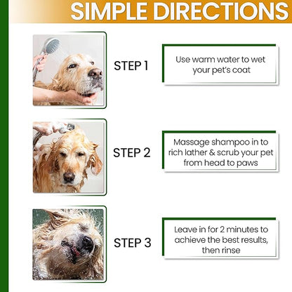 Dry Skin & Anti Itch Shampoo for Dogs | Oatmeal Dog Shampoo | Itchy Skin Relief | Hypoallergenic with Anti Dandruff Treatment | Anti-Fungal & Alcohol-Free | Nutrient-Rich | Suitable for All Pets
