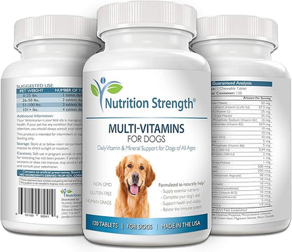 Multivitamins for Dogs, Daily Vitamin and Mineral Support, Nutritional Dog Supplements for All Canine Breeds and Sizes, Promotes Immune Health in Pets, 120 Chewable Tablets