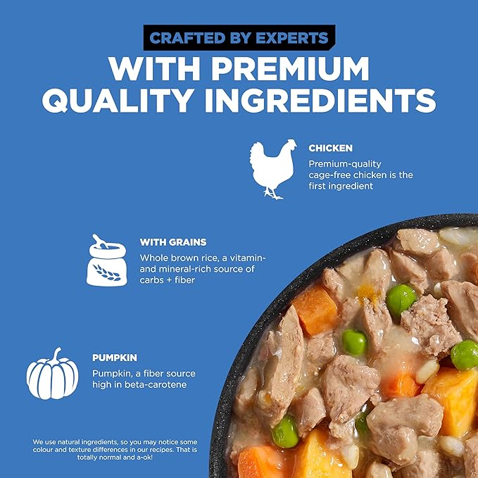 GO! SOLUTIONS Skin + Coat Care Wet Dog Food - Shredded Chicken Recipe with Grains - Complete & Balanced Nutrition for All Life Stages, 12.5 oz (Pack of 4)