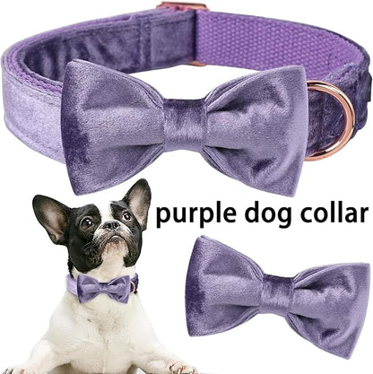 ARING PET Bowtie Dog Collar-Velvet Dog Collars with Removable Bowtie, Cute &Comfortable Purple Dog Collar,Large.