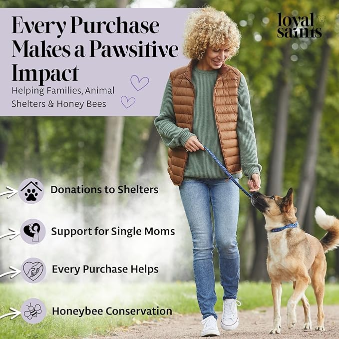 Freeze Dried Raw Dog Food - Premium Chicken Flavor with High Protein & Grain Free Dog Food for Small or Large Breeds and Picky Eaters - Versatile as Meal Topper, Pet Snack & Treats, 5 Oz