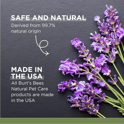 Burt's Bees for Pets Calming Spray with Hemp, 99.7% Natural Origin Formulas, Spray for Calming Dogs, Dog Anxiety Relief Spray, Calming Care for Dogs 10oz