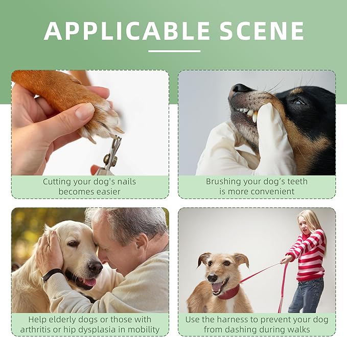 Dog Lift Harness for Senior Dogs and Medium Dogs, Walkabout Harness for Dogs for Hip dysplasia, Arthritis, Full Body Dog Lift Harness Help Loss of Stability Dogs Walk XS