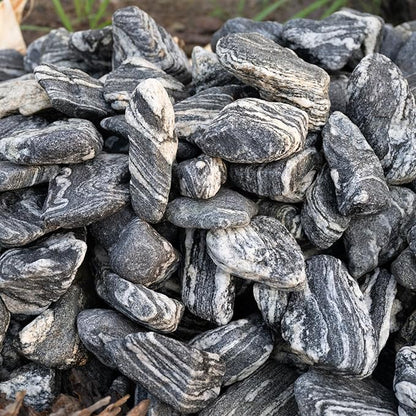 Silver Seiryu Rock Aquarium Rocks 40lb Natural Mountain Stone for Fish Tanks, Aquascaping, Terrariums, Bonsai, Garden Landscaping & Reptile Habitats(2-10inch 12-14Pcs)