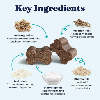 Solid Gold Calming Chews for Dogs - Dog Calming Chews w/Melatonin for Separation, Stress & Hyperactivity Relief - Supports Relaxation for Travel, Fireworks & Storms - All Ages & Sizes - Bacon 120ct