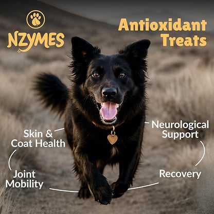 Nzymes® Antioxidant Treats - for Dogs Joints, HIPS, Paralysis, Skin, Coat, Hair Loss, Aging, Digestion, Neurological, Seizures - 60 Treats - Made in The USA