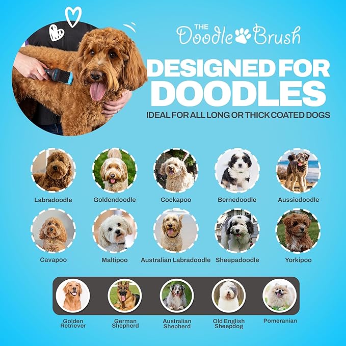 Doodle Brush Slicker Dog Brush, Dog Brush For Cockapoo, Goldendoodle Poodle Dog Brush, Dog Detangler Brush Slicker Brush for Dogs Slicker Brush Dog Slicker Brush For Long Haired Dogs - Single Head