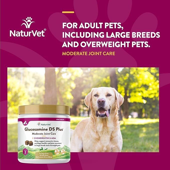 NaturVet  Glucosamine DS Plus - Level 2 Moderate Care  Supports Healthy Hip & Joint Function  Enhanced with Glucosamine, MSM & Chondroitin  for Dogs & Cats120 Soft Chews