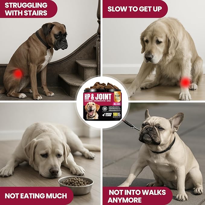 Glucosamine for Dogs Hip and Joint Supplement Chews, Chondroitin Joint Supplement for Dogs, Joint Chews for Dog, Dog Supplement for Joint Pain Relief - 60-Day Satisfaction Guarantee -180 Ct