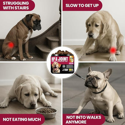 Glucosamine for Dogs Hip and Joint Supplement Chews, Chondroitin for Dogs Joint Health supplemnt, Dog glucosamine Chews, Dog Supplement for Joint Pain Relief - 60-Day Satisfaction Guarantee -180 Ct