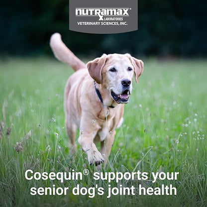 Nutramax Cosequin for Senior Dogs Joint Health Supplement, Contains Glucosamine, Chondroitin, MSM, Omega-3s and Beta-Glucan, Supports Joint, Skin and Coat, Immune Health, Soft Chews, 120 Count