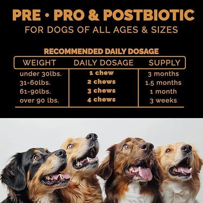 Probiotics for Dogs. Dog Digestive Health-Pre Pro and Postbiotic Combination-Pet Supplements for Gut Health-Supports Digestion, Boost Immunity-100CT Soft Chews