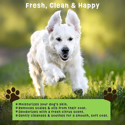 Dogs Plus Vitamin C Dog Shampoo | All Natural Dermatitis, Demodex Mange, & Hot Spot Treatment for Dogs | Fast and Effective Itch Relief (6 oz)