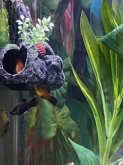 Aquarium Decor Magnetic Driftwood Outcropping Ornament –Wall-Mounted Fish Tank Accessory