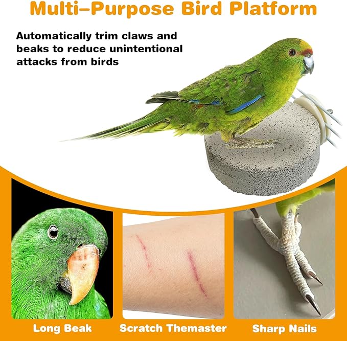 PINVNBY 4 PCS Bird Perches Calcium Parrot Perch Stand Bird Beak Grinding Stone Foot Claws Trimmer Parrot Chewing Toys Bird Cage Accessories for Budgie Cockatiel Conure Lovebird Finch