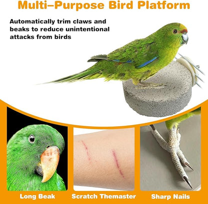 PINVNBY 4 PCS Bird Perches Calcium Parrot Perch Stand Bird Beak Grinding Stone Foot Claws Trimmer Parrot Chewing Toys Bird Cage Accessories for Budgie Cockatiel Conure Lovebird Finch