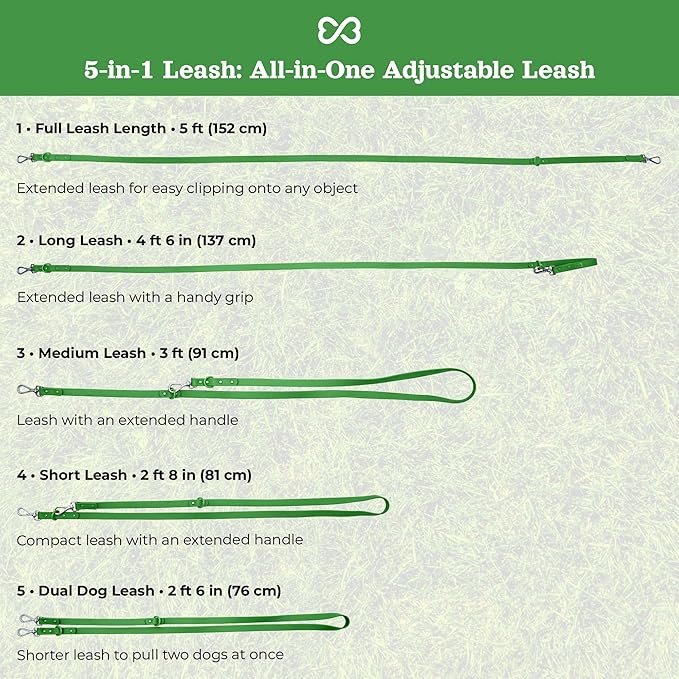 Dog Harness and Leash Set | BearBone No Pull Dog Harness and Waterproof Dog Collar and Leash Set | Heavy Duty Dog Harness, Leash and Collar | Small Dog Harness and Leash Set (Green, Small)