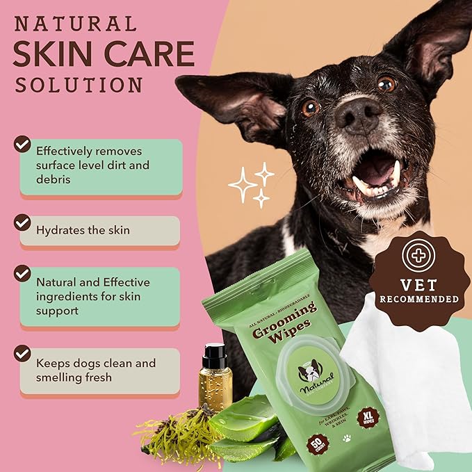 Natural Dog Company Grooming Wipes with Aloe Vera, Cleanses, Soothes, & Deodorizes, Fragrance Free, Hypoallergenic, Biodegradable Wipes - Dog Wipes for Ear, Paws, Face and Butt Wipes (200 Wipes)