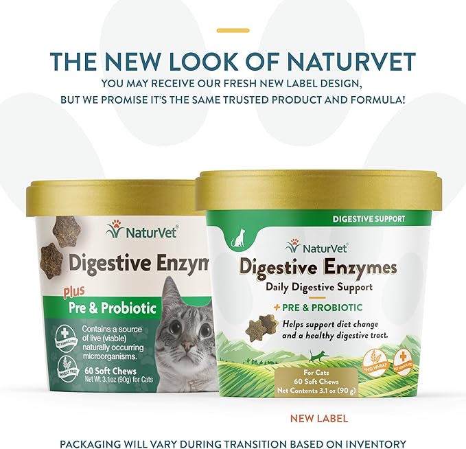 NaturVet  Digestive Enzymes for Cats Plus Probiotics  60 Soft Chews  Helps Support Diet Change & A Healthy Digestive Tract  Aids in The Absorption of Vitamins & Minerals  30 Day Supply