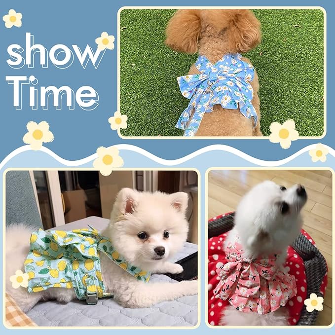 Dora Bridal 2 Pack Dog Dress Harness Vest with Leash, No Pull Cat Small Medium Girl Pet Floral Harness Leash Set, Cute Puppy Fruit Outfit Clothes with Bow, Mesh Princess Costume for Outdoor Walking