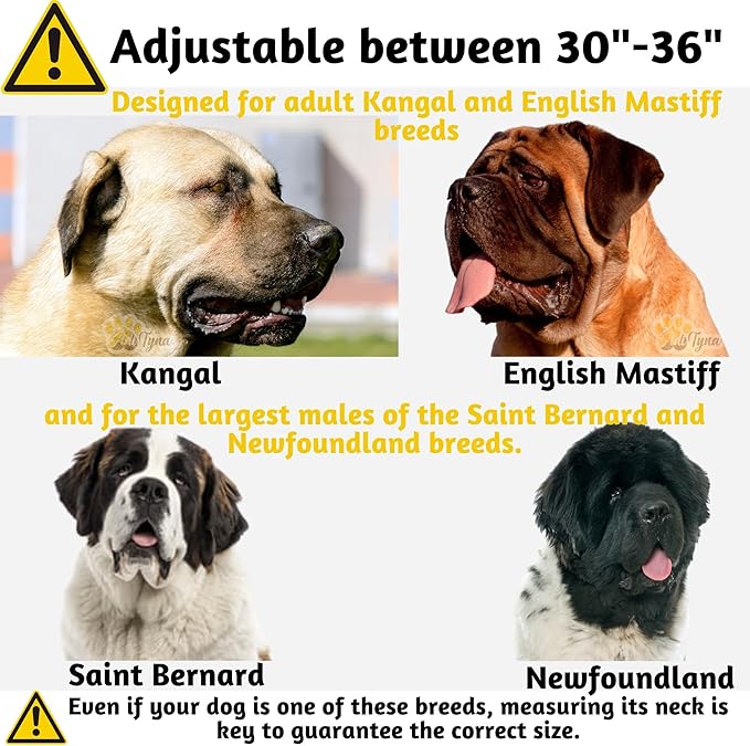 ADITYNA Big Leather Dog Collar - XXL Dog Collar for Giant Breeds Such as Mastiff (Giant: Fit 30" - 36" Neck, Brown)