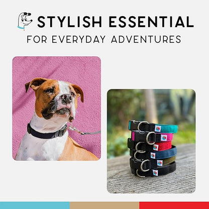 Dog Collar, Lightweight, Heavy Duty Dog Collar with Buckle, Fabric Pet Collar, Breathable & Adjustable Puppy Collar, Dog Collars for Medium Dogs (Black, Medium - 10-16 Inch) - Wildebeest