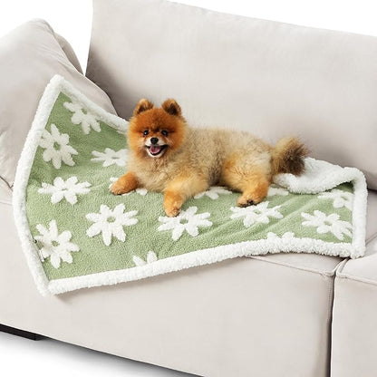 Lesure Waterproof Puppy Blanket for Small Dogs - Washable Double Sided Dog Blankets with Warm Jacquard Shag and Soft Sherpa Fleece, Pet Cat Blanket for Couch Protection, 3D Textured Cloud, Green