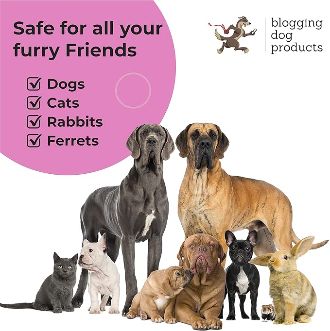 Dog Perfume Spray Long Lasting - Pet Odor Eliminator - Dog Cologne Spray - Premium Dog Deodorant Spray for Smelly Dogs - Refreshing Dog Deodorizer Spray for Grooming