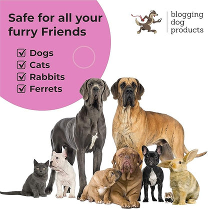 Dog Perfume Spray Long Lasting - Pet Odor Eliminator - Dog Cologne Spray - Premium Dog Deodorant Spray for Smelly Dogs - Refreshing Dog Deodorizer Spray for Grooming